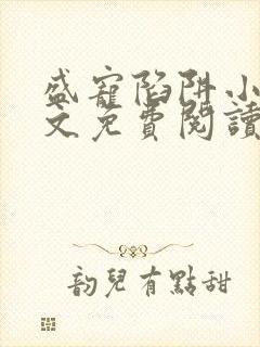 盛宠陷阱小说全文免费阅读