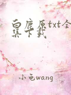 白鹿原txt全集下载