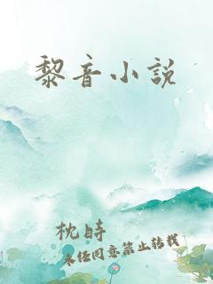 黎音小说