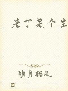 老丁是个生意人