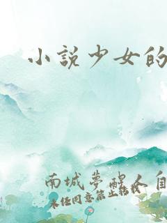 小说少女的心
