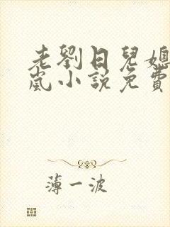 老刘日儿媳妇张岚小说免费阅读