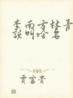 李南方林青青小说叫啥名