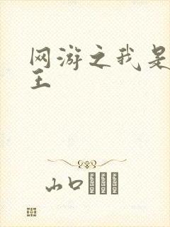 网游之我是海贼王