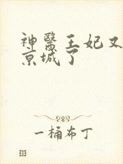 神医王妃又轰动京城了