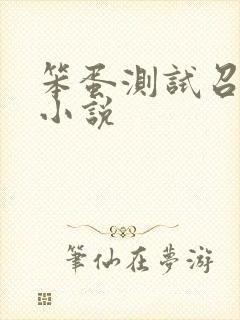 笨蛋测试召唤兽小说