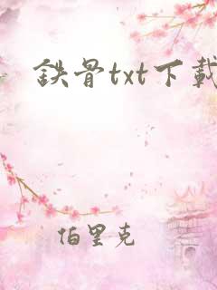 铁骨txt下载