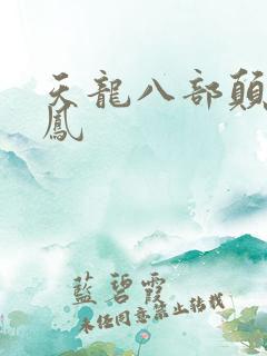 天龙八部颠龙鸾凤