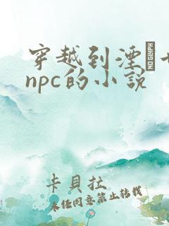 穿越到湮婸世界npc的小说