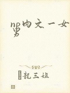 np肉文一女多男