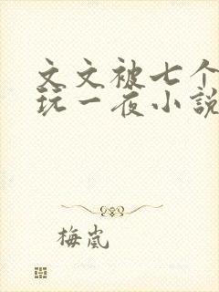 文文被七个男人玩一夜小说