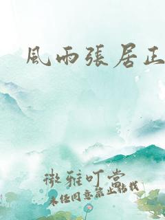 风雨张居正下载