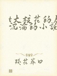 t大校花的屈辱沉沦的小说