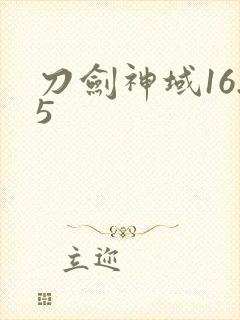 刀剑神域16.5