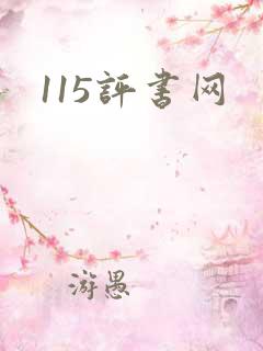 115评书网