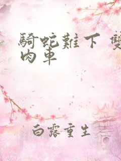 骑蛇难下 双 肉车