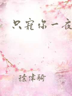 只宠你一夜