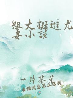 粗大挺进尤物娇妻小说