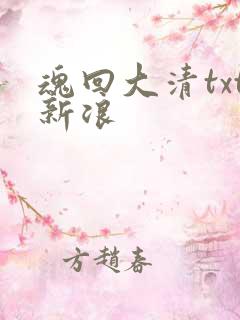 魂回大清txt新浪