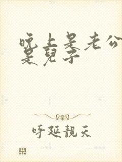 晚上是老公白天是儿子