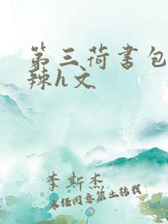 第三荷书包网高辣h文