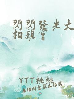 闪闪发光大团圆相亲会