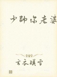 少帅你老婆