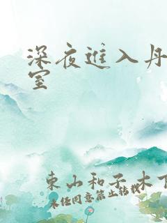 深夜进入丹丹卧室