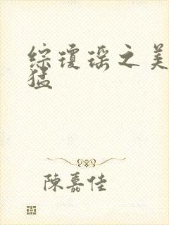 综琼瑶之美人凶猛