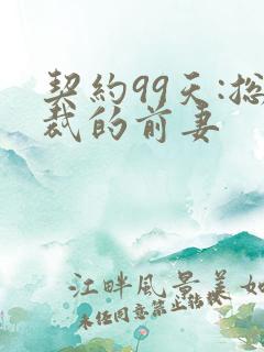 契约99天:总裁的前妻