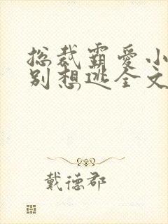 总裁霸爱小娇妻别想逃全文阅读免费