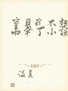 宝贝我不想带小雨伞了小说