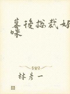 幕后总裁好孕妈咪