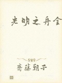 光明之舟金手指