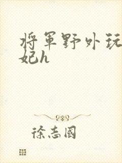 将军野外玩弄贵妃h