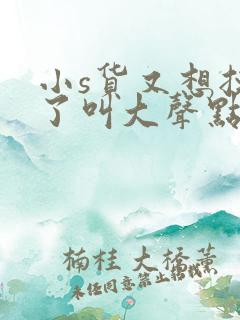 小s货又想挨c了叫大声点