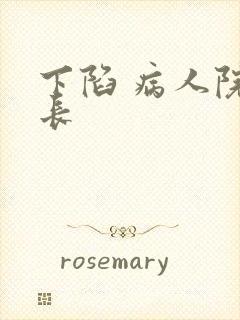 下陷 病人院院长