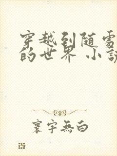 穿越到随处做 的世界 小说