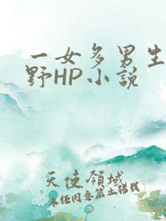 一女多男生活狂野HP小说