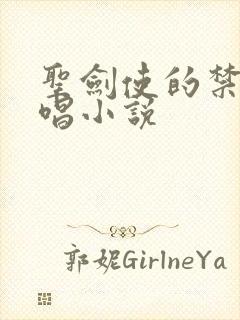 圣剑使的禁咒咏唱小说