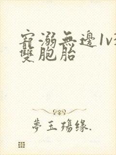 宠溺无边1v3双胞胎