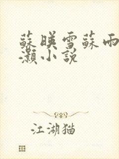 苏映雪苏雨柔苏灏小说