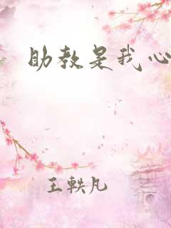 助教是我心尖宠