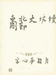 东北大坑续集未删节