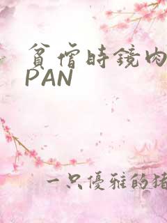 贫僧时镜肉补全PAN