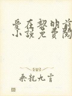 爱在黎明前降落小说免费阅读