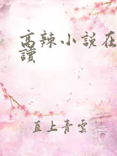 高辣小说在线阅读