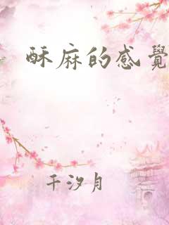 酥麻的感觉小说