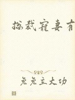 总裁宠妻有点忙