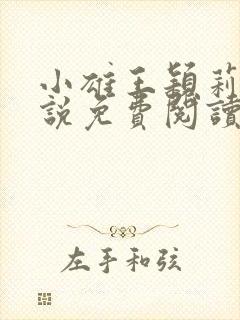 小雄王颖莉的小说免费阅读全文